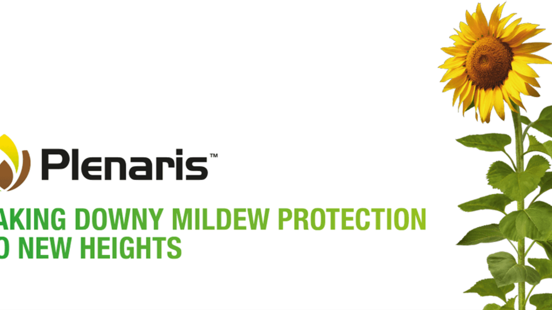Plenaris - taking downy mildew protection to new heights