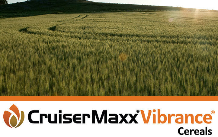 Cruiser Maxx Vibrance Cereals