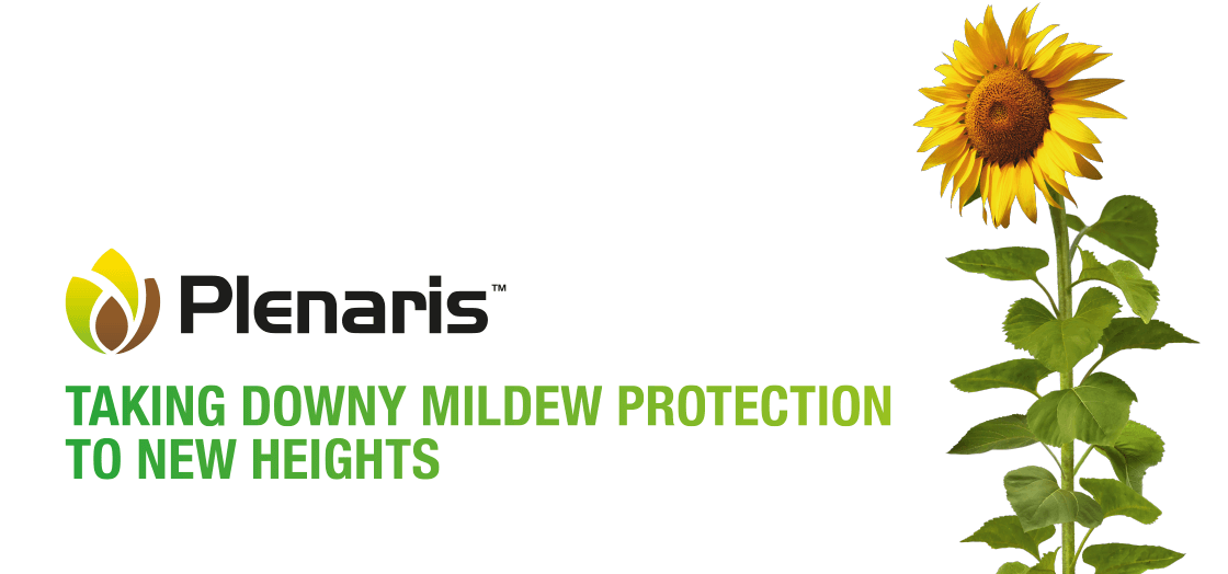 Plenaris - taking downy mildew protection to new heights