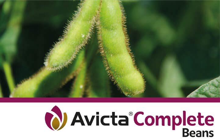 Avicta Complete Beans