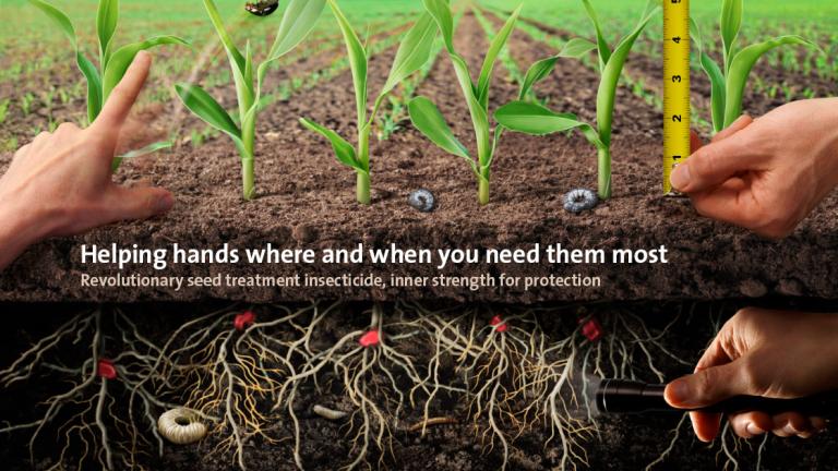 Helping hands where and when you need them most
