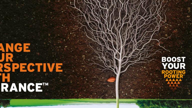Change your perspective with Vibrance