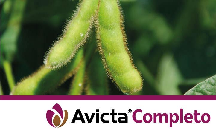 Avicta Completo Soya