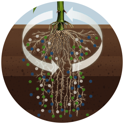 Epivio - enables stronger plant growth