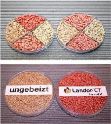 Application quality display seeds
