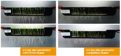 Root germination case