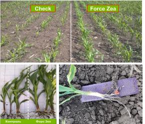 Infield joint trials