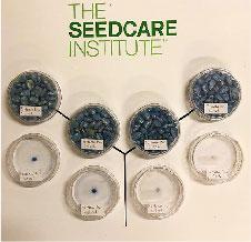 Application quality display seeds