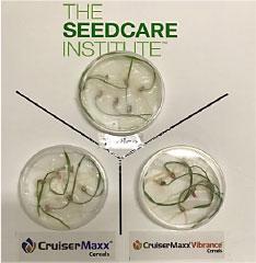 Petri dish display pathogens germination