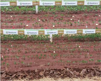 Application quality plantability plots